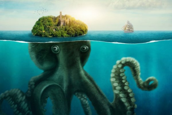 Kraken 12g