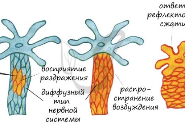 Кракен даркнет слушать